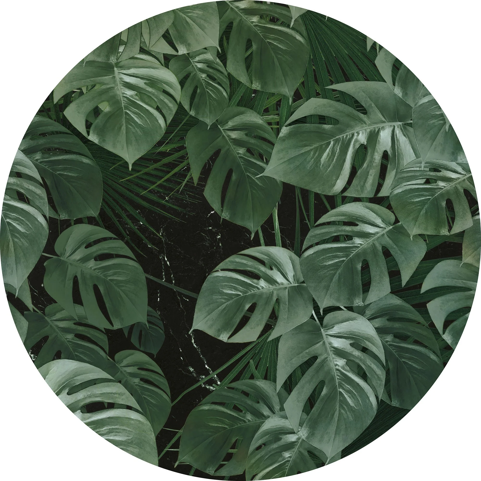 Novel Monstera Circle Wallpaper (Self-Adhesive) - Image 3