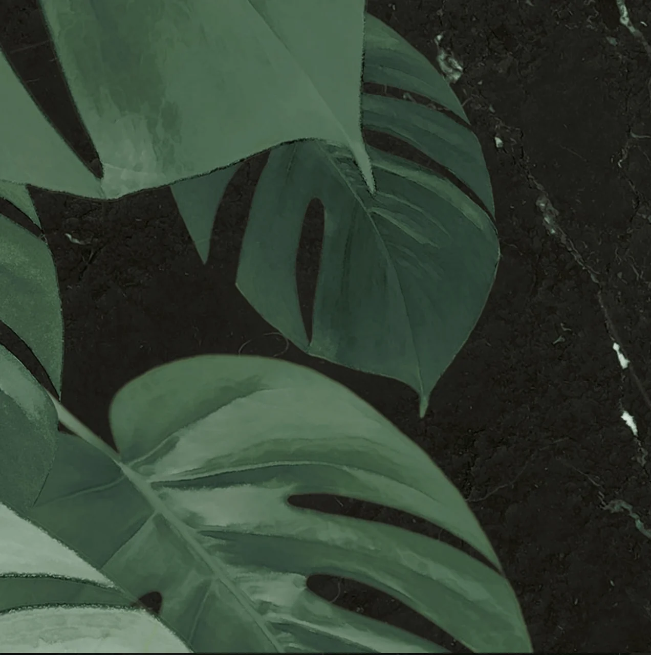 Novel Monstera Circle Wallpaper (Self-Adhesive) - Image 4
