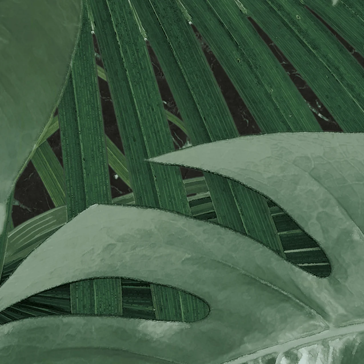 Novel Monstera Circle Wallpaper (Self-Adhesive) - Image 7