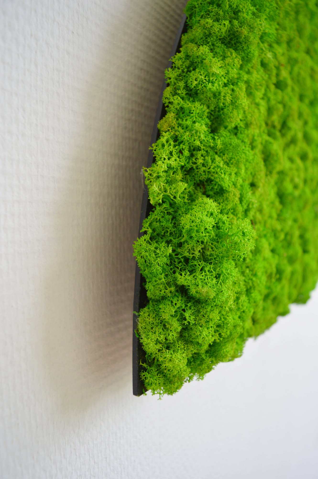 Moony Moss Art & Acoustic Shelf - Image 11