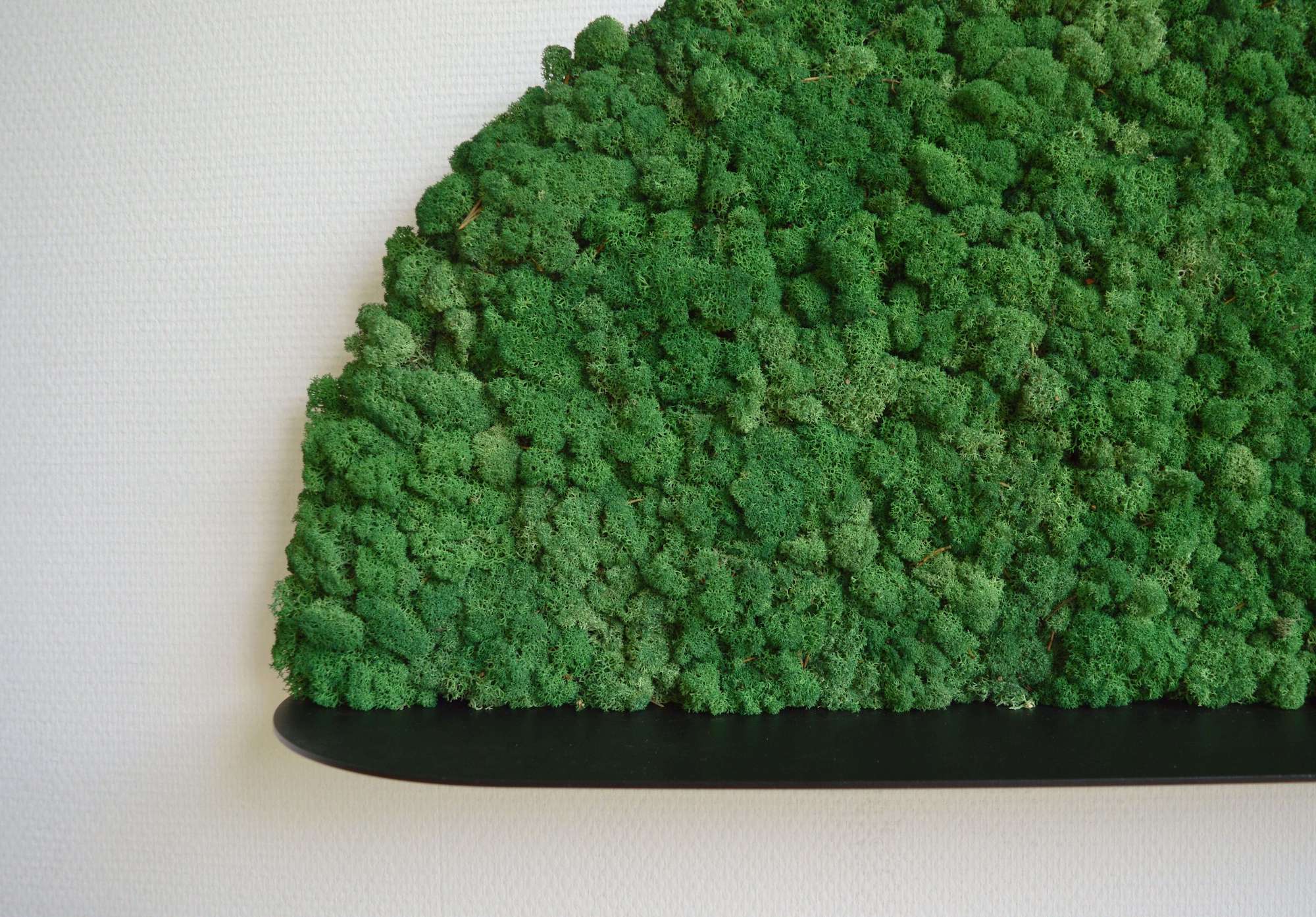 Moony Moss Art & Acoustic Shelf - Image 8