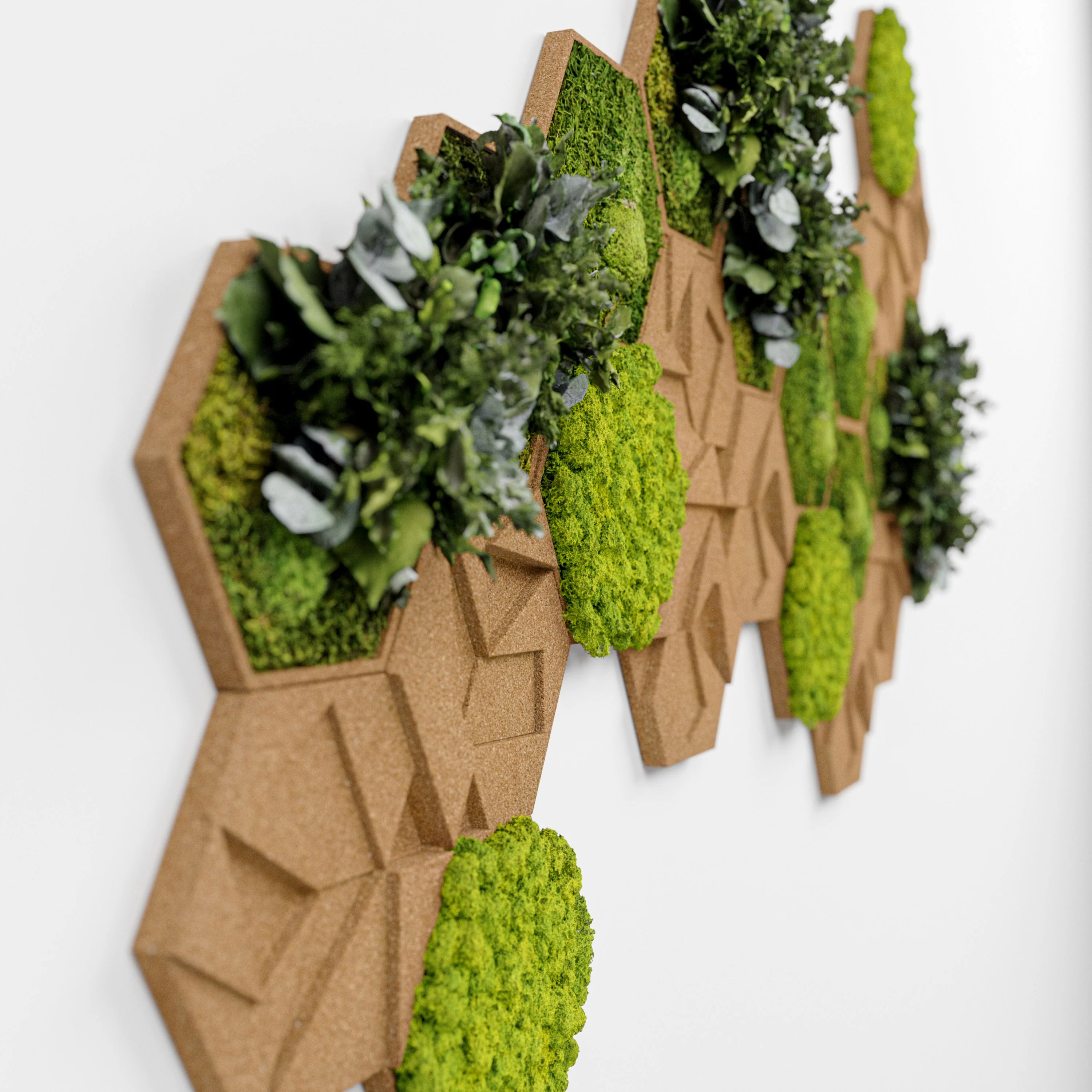 Cork Hexagons Moss Wall Art (Set of 5 Moss Panels) - Image 5