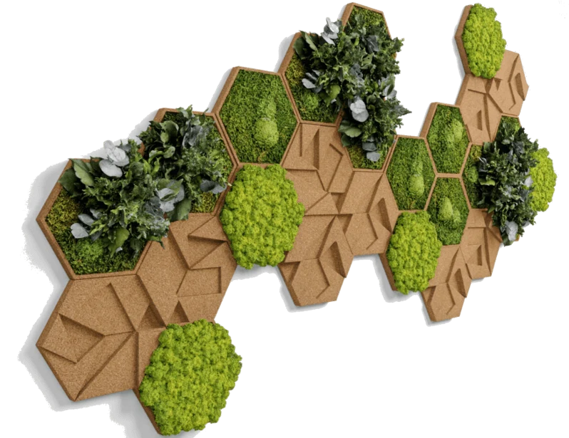Cork Hexagons Moss Wall Art (Set of 50 Moss Panels) - Image 3