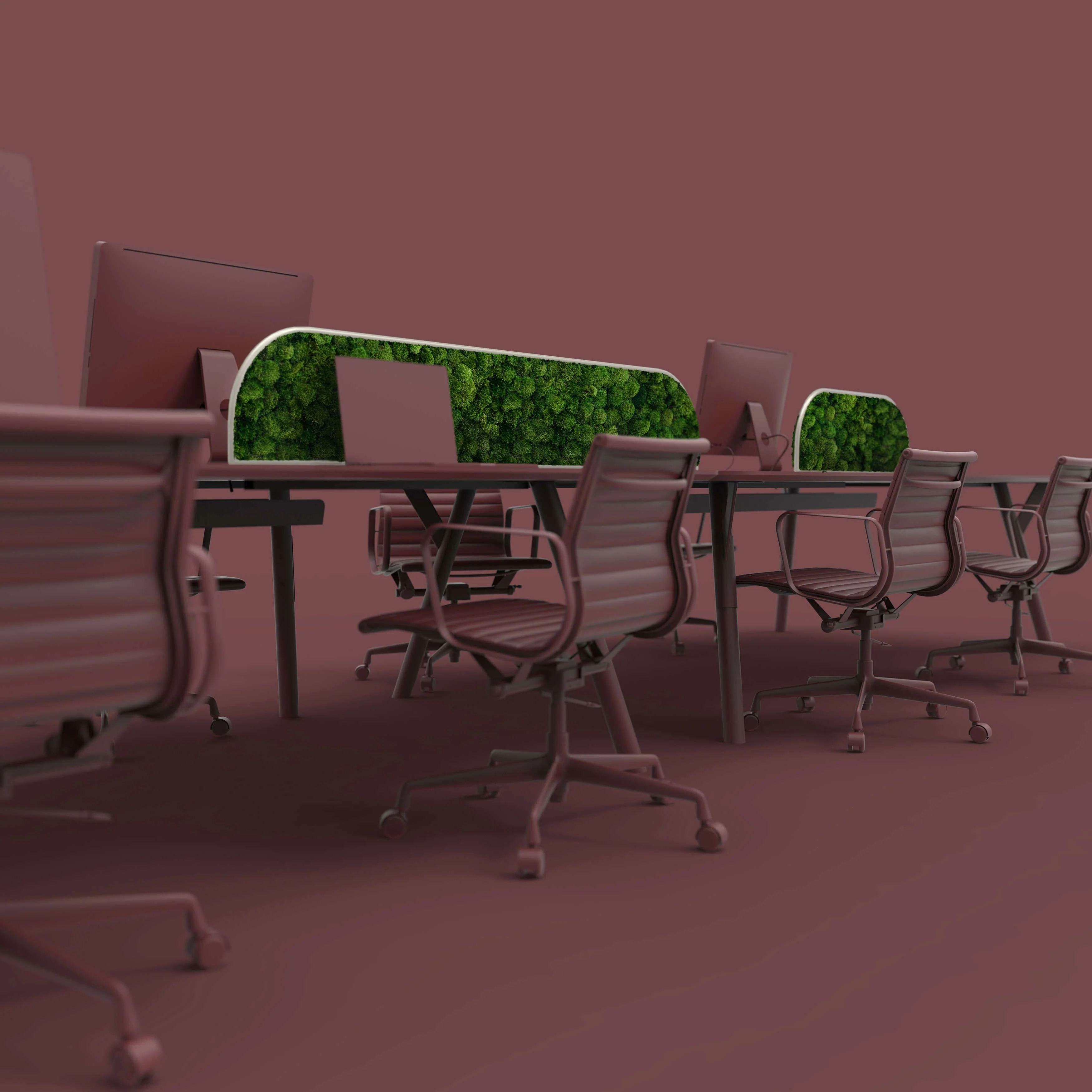 Moss Desk Dividers - Image 13