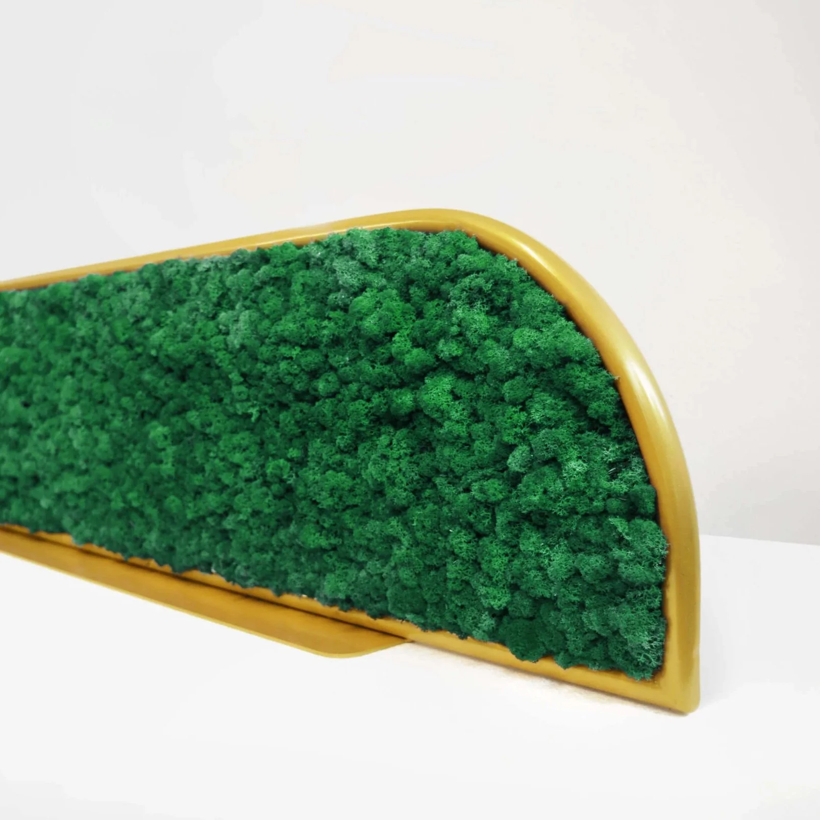 Moss Desk Dividers - Image 3