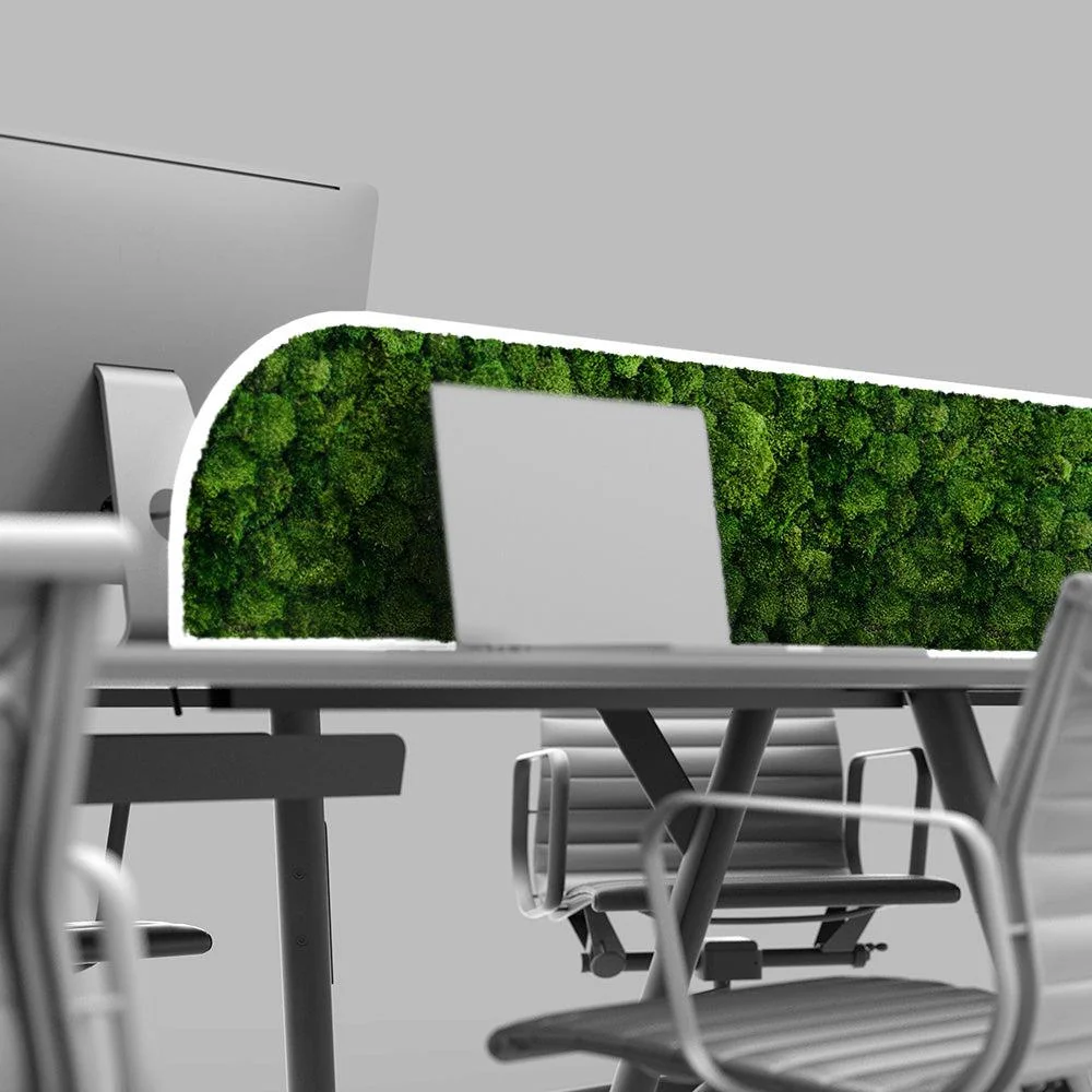 Moss Desk Dividers - Image 7