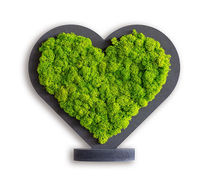 Moss Heart - Image 5