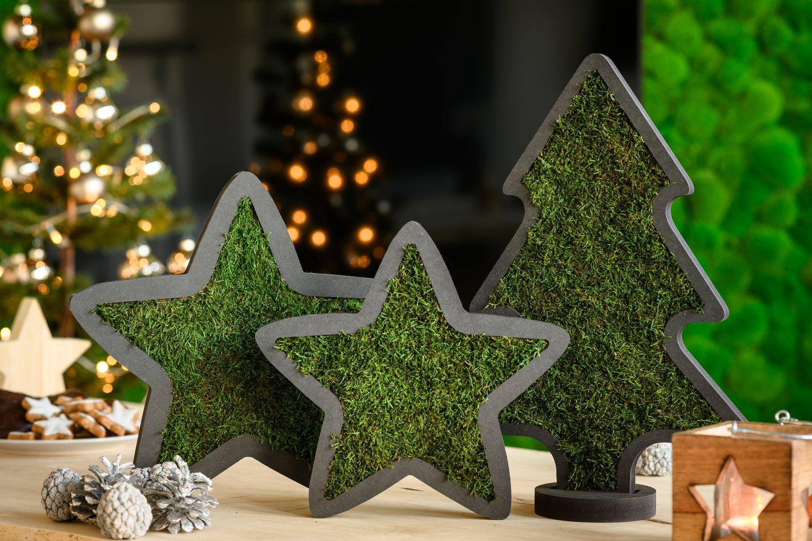 Moss Noel Christmas Tree - Image 6