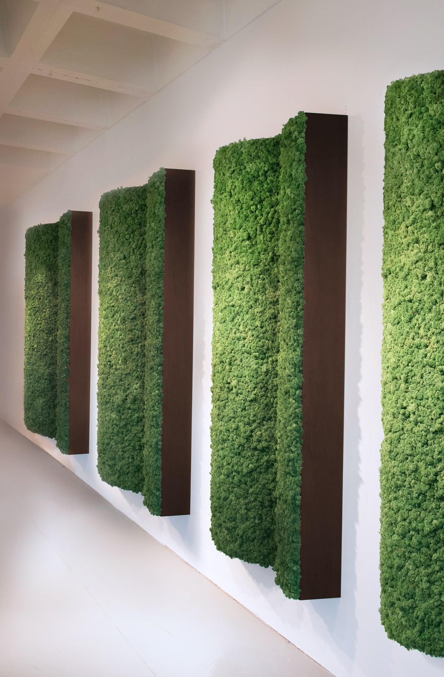 Wall Pillars Plant & Moss Wall Art - Image 11
