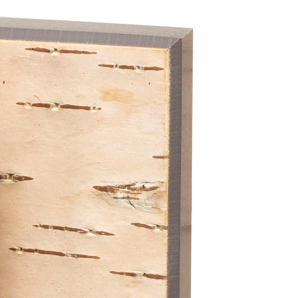 Moya Seina Birch Bark Wall Panels - Image 19