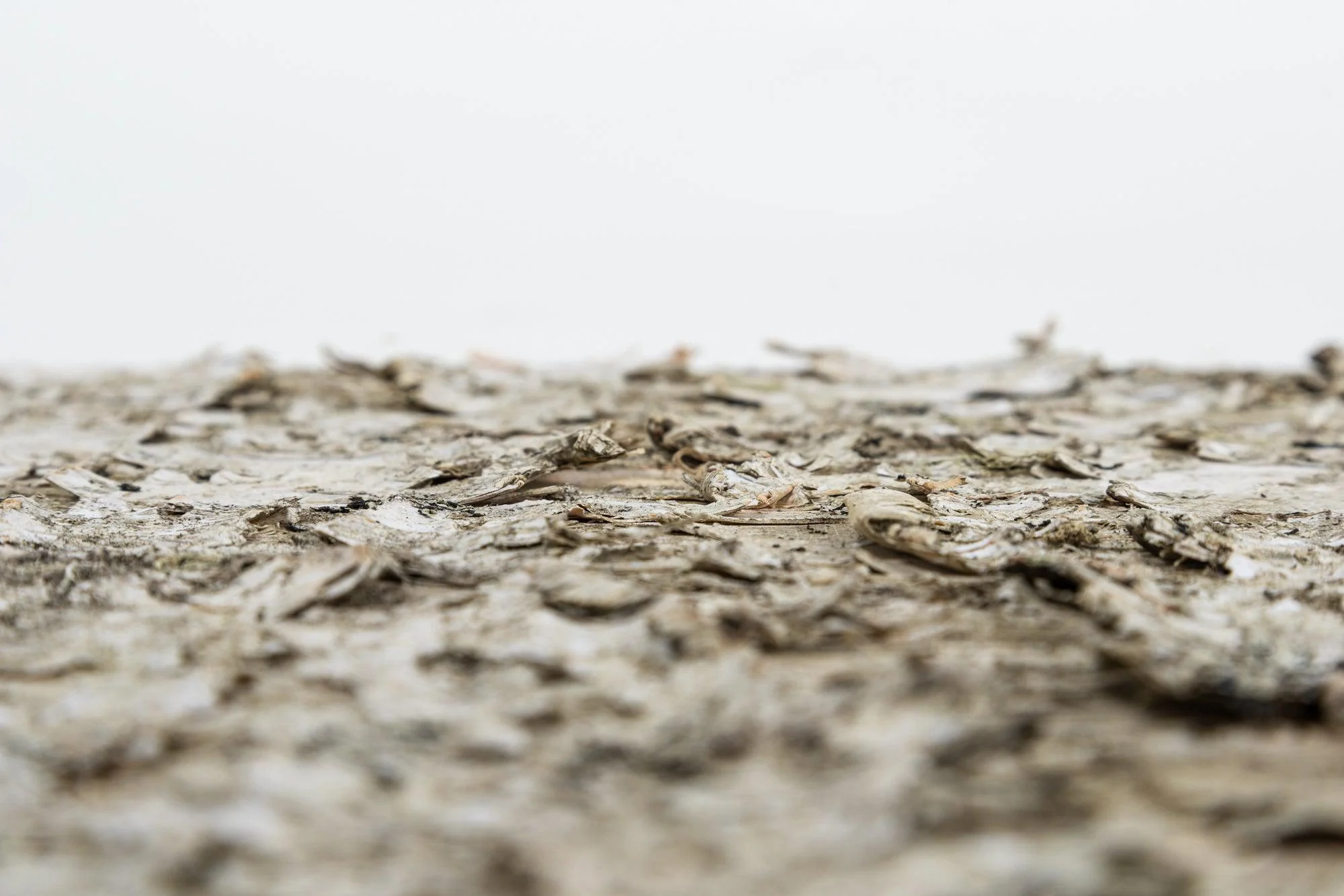 Moya Seina Birch Bark Wall Panels - Image 12