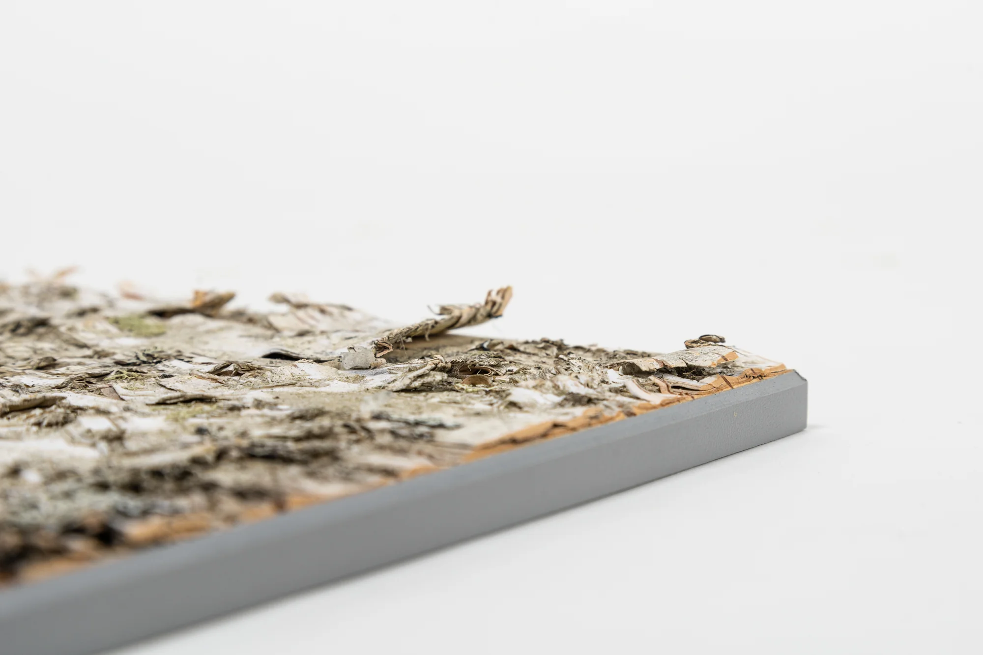 Moya Seina Birch Bark Wall Panel - Image 11