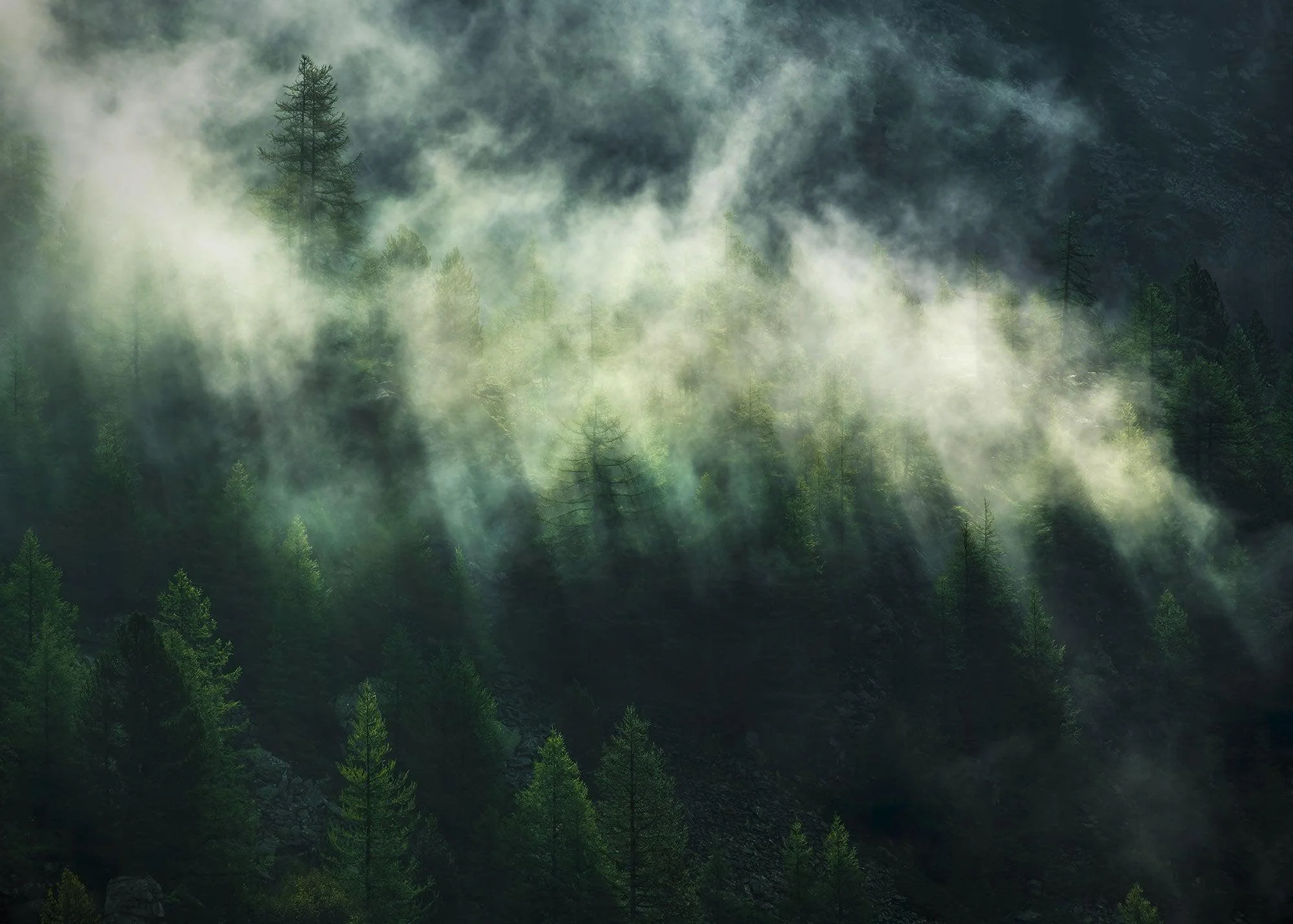 Misty Crowns Mural Wallpaper - Image 2