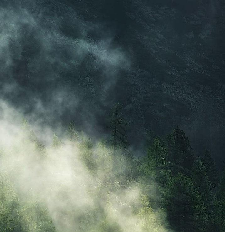 Misty Crowns Mural Wallpaper - Image 4