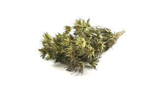 Italian Natural Nigella Bouquet - Image 2