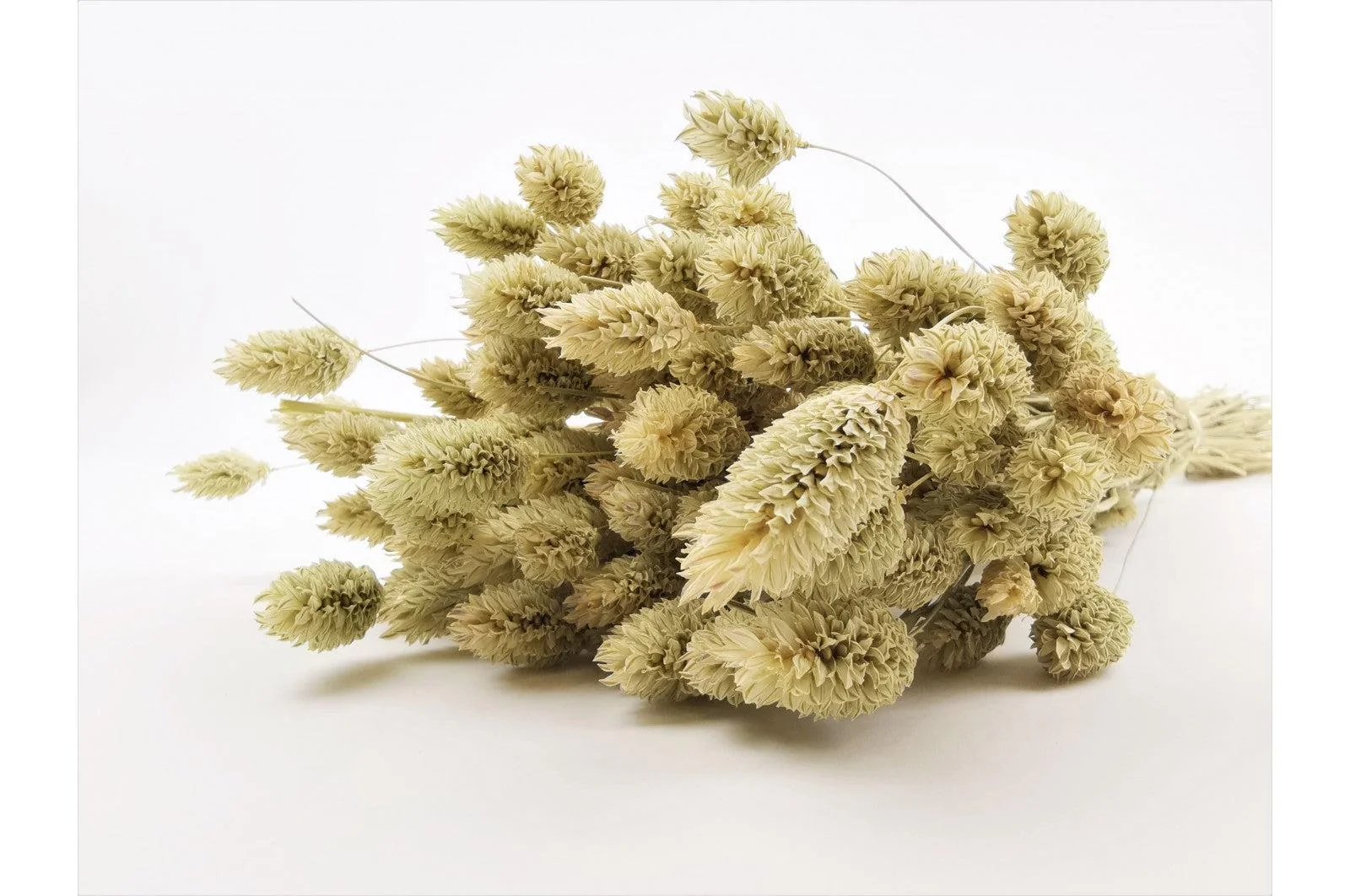 Italian Natural Phalaris Bouquet - Image 2