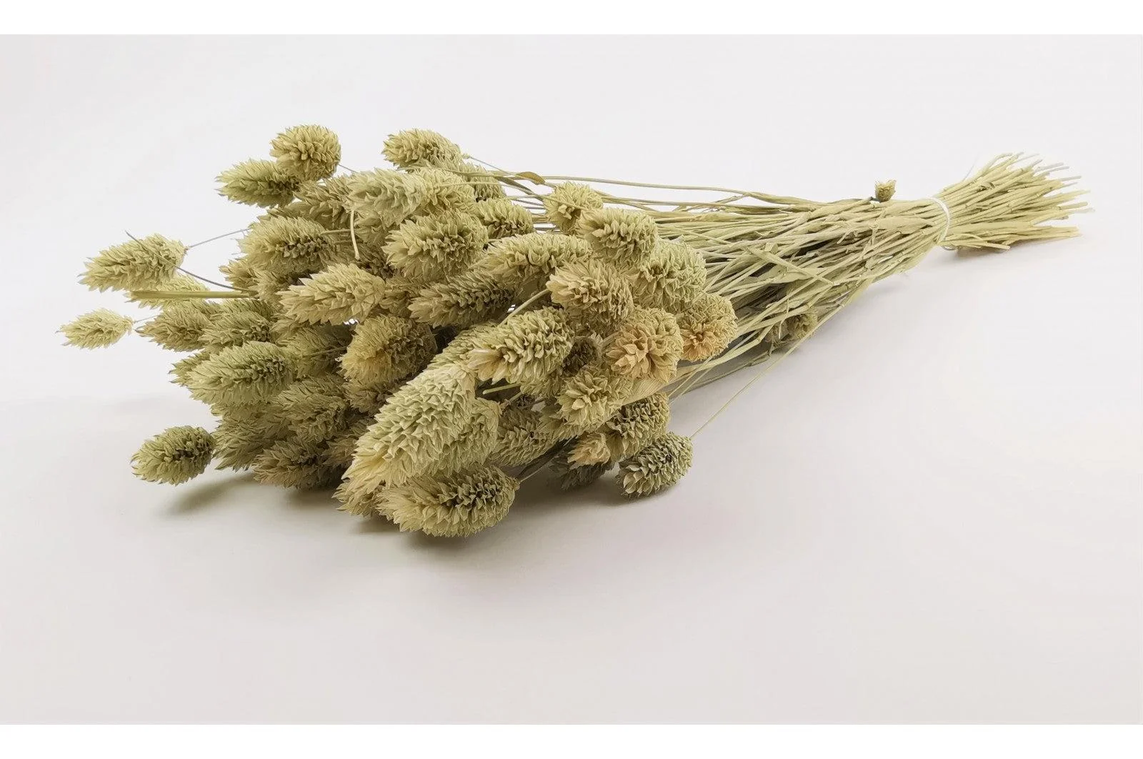 Italian Natural Phalaris Bouquet - Image 4
