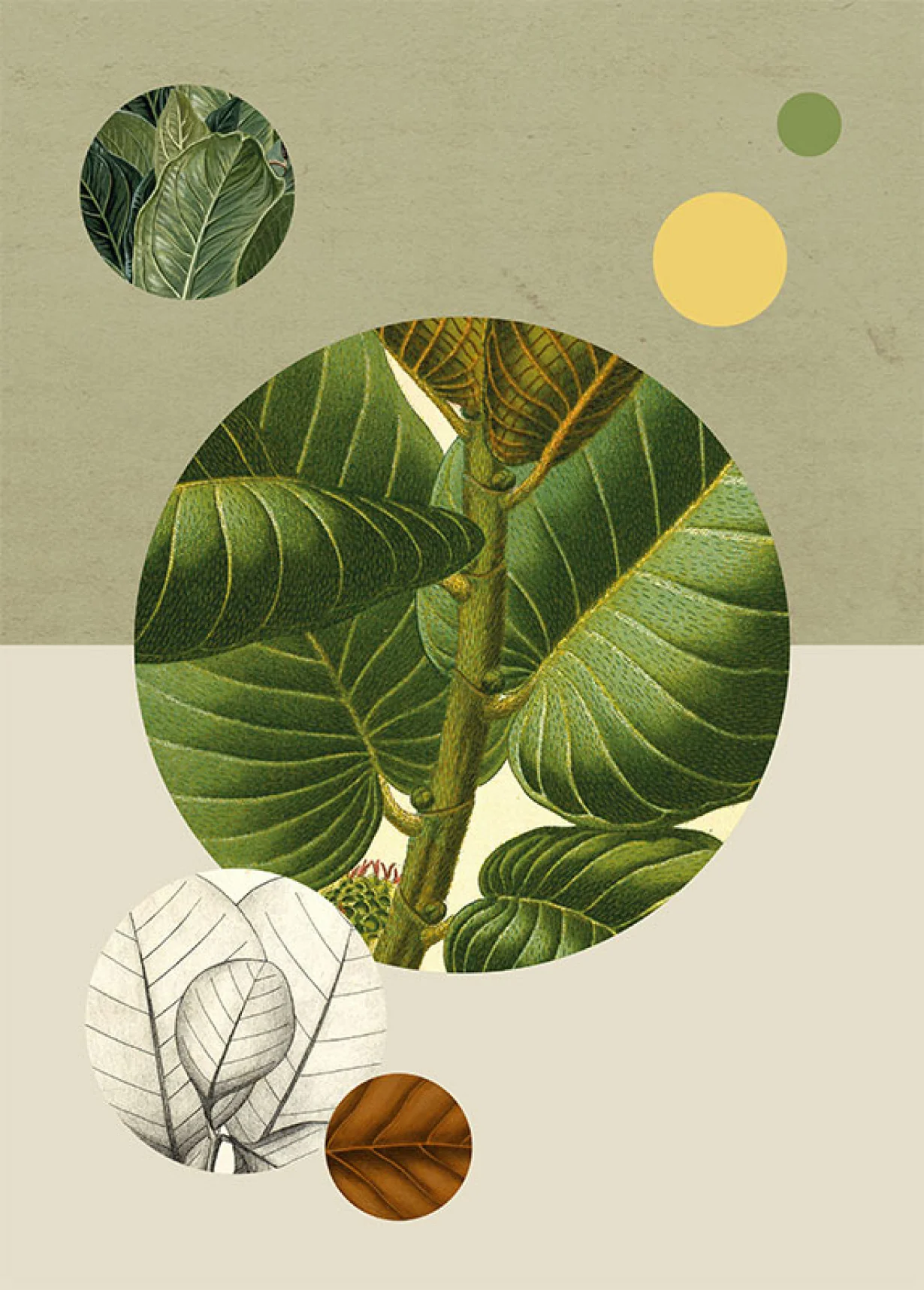 Nature Art Gallery (12 Art Posters w/ frames) - Image 7
