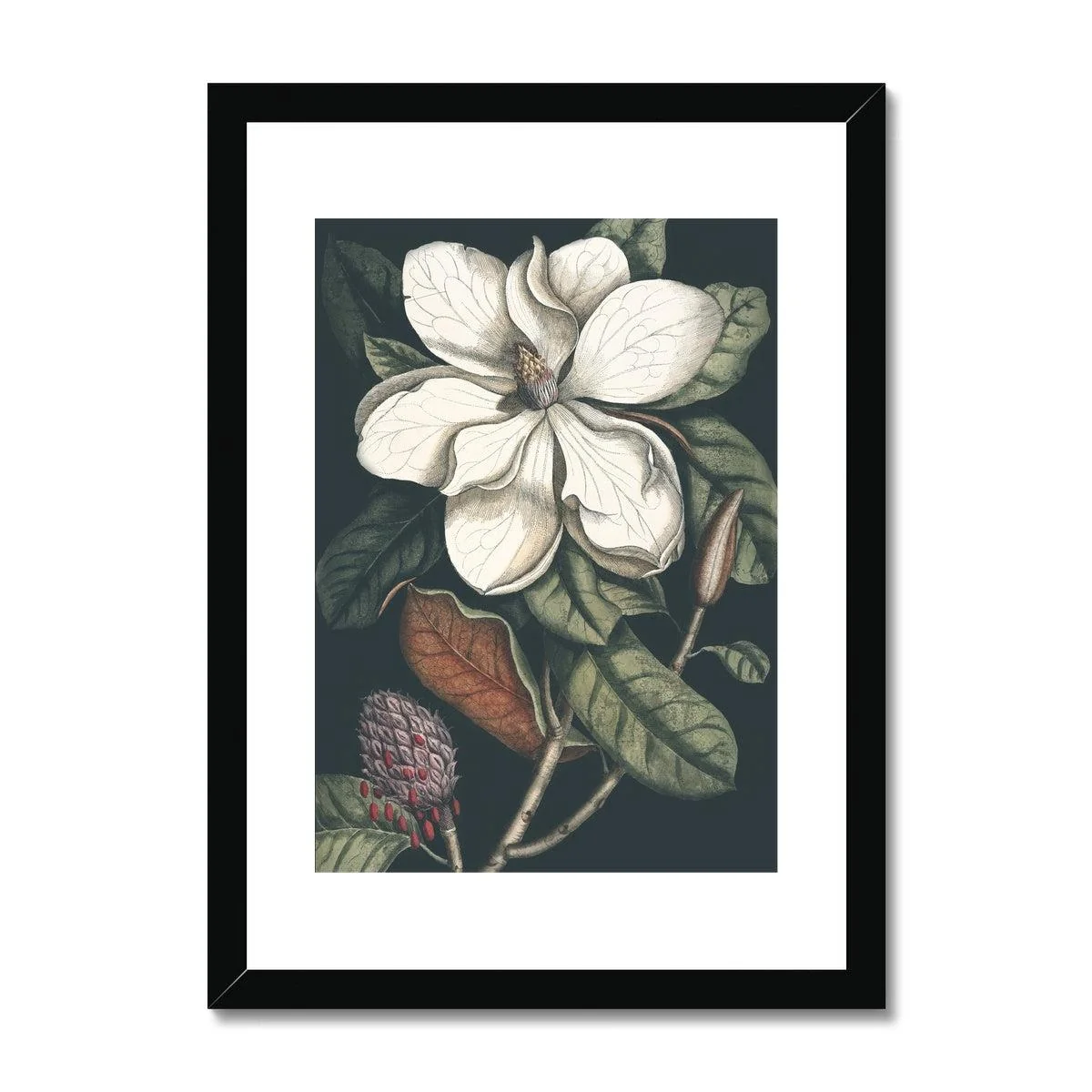 Nature Romance Framed & Mounted Print - Image 2