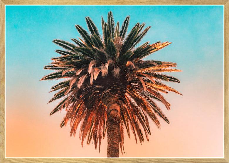 Palm Tree Art Poster