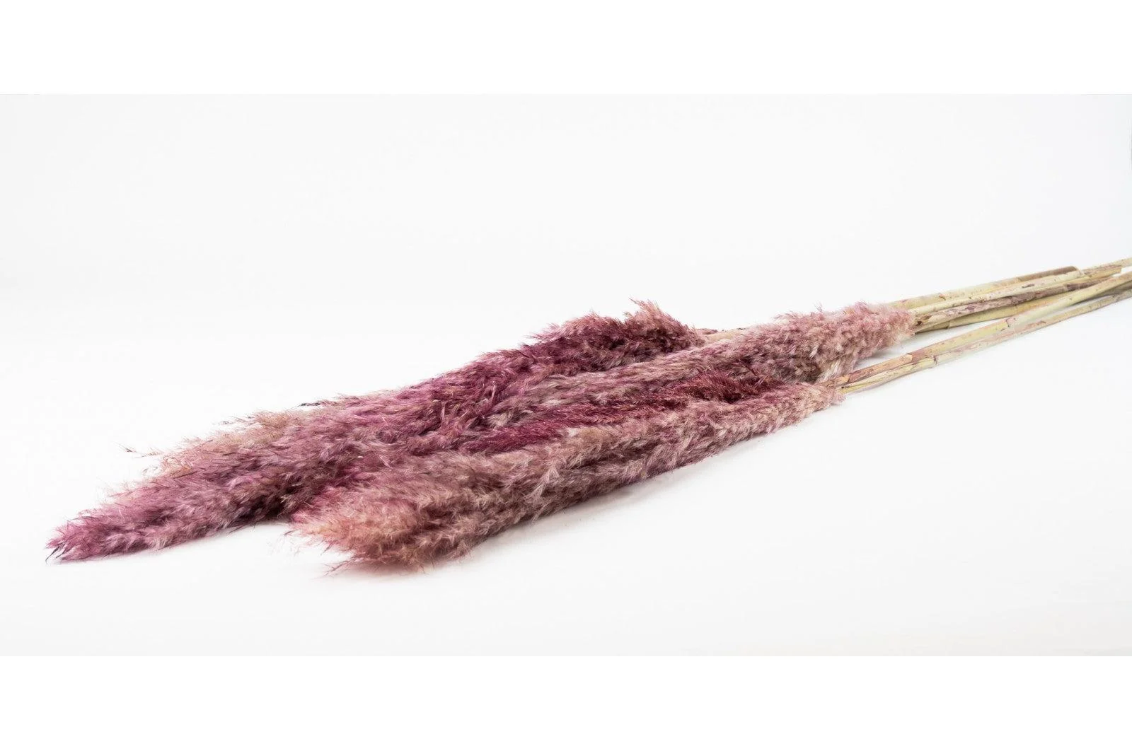 French Taupe Pink Pampas Bouquet - Image 4