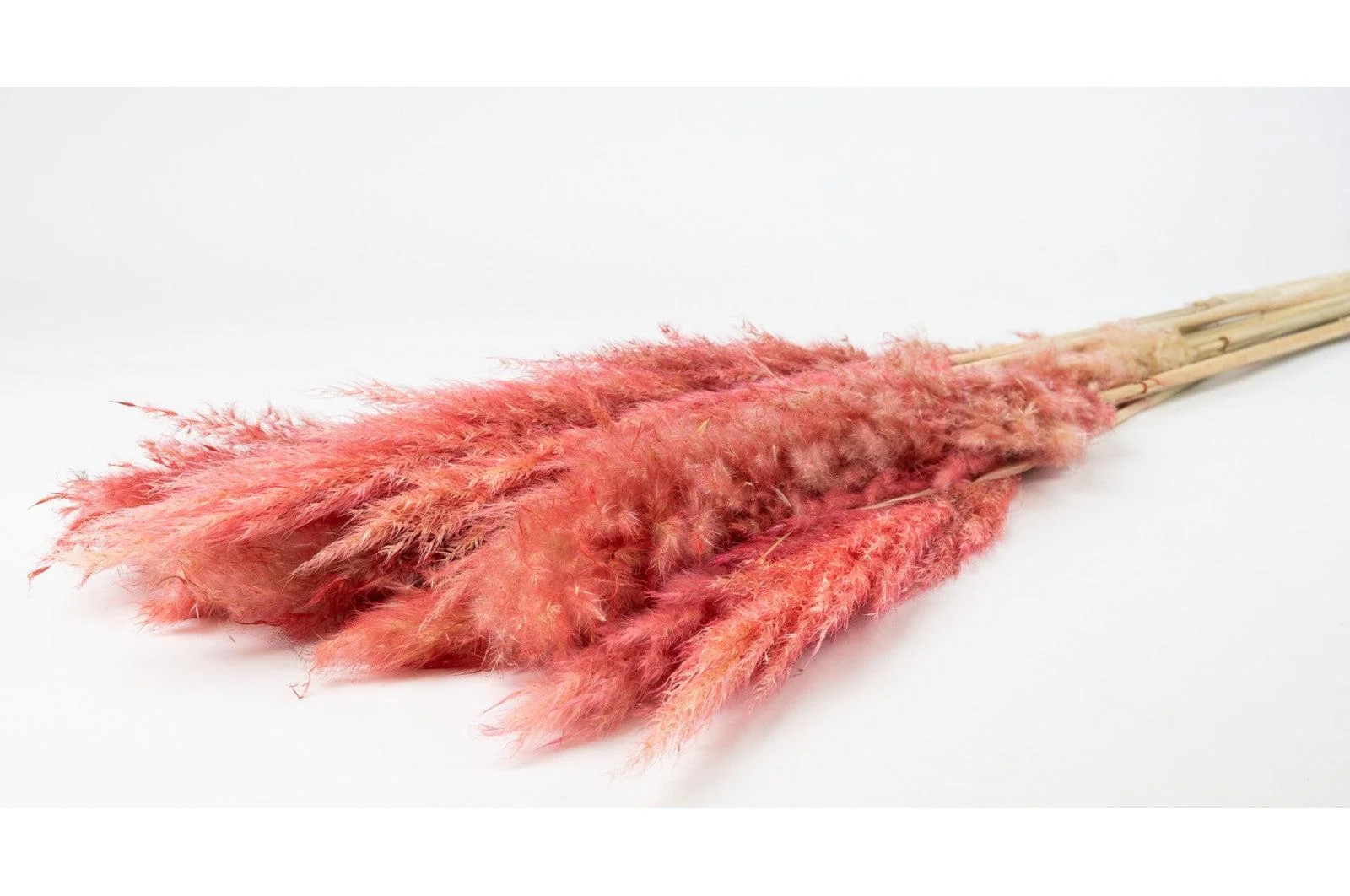 French Pink Pampas Bouquet - Image 2