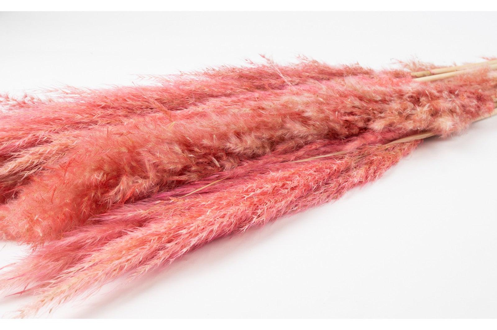 French Pink Pampas Bouquet - Image 4