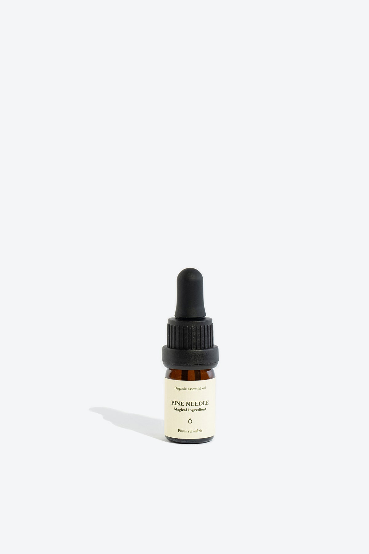 Pine Needle Organic Essential Oil - Image 4