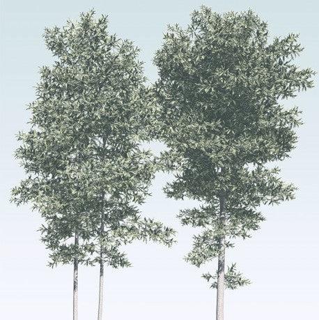 Pines Mural Wallpaper - Image 6
