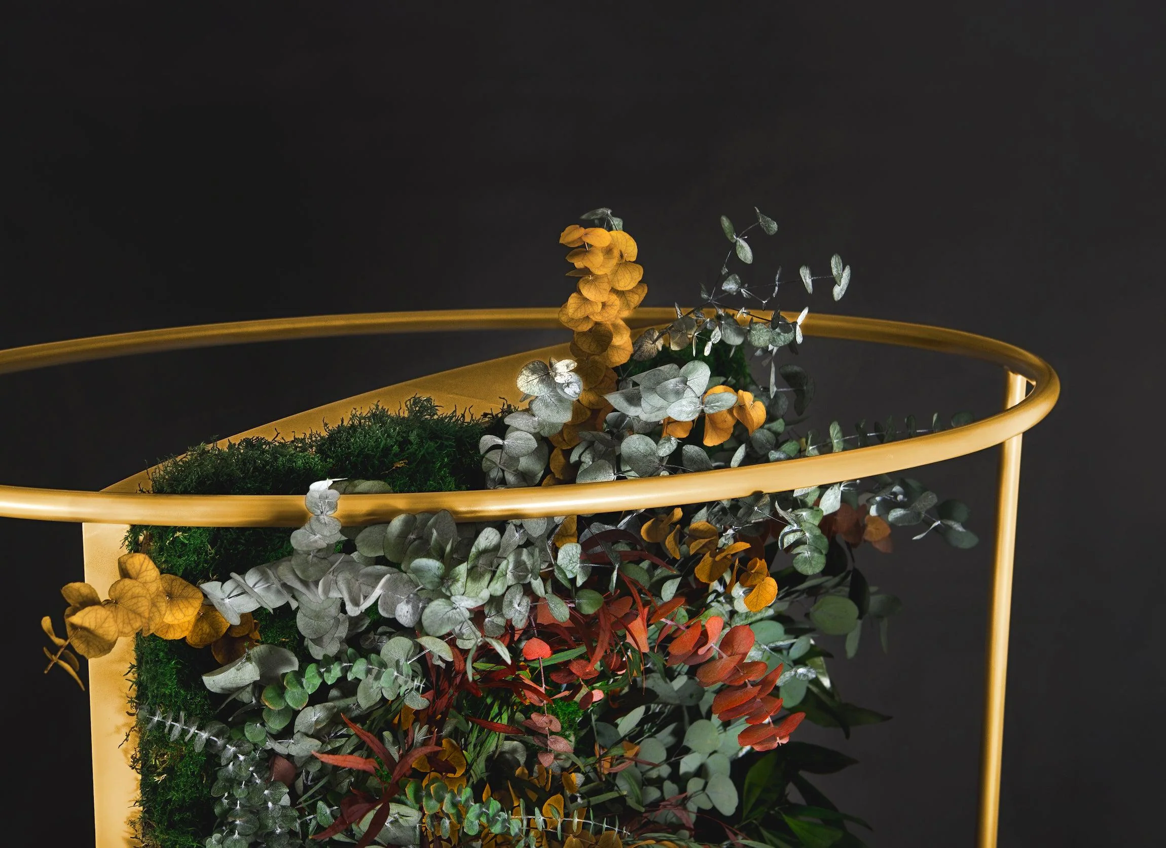 Dividers Plant and Moss Wall Art - Image 14