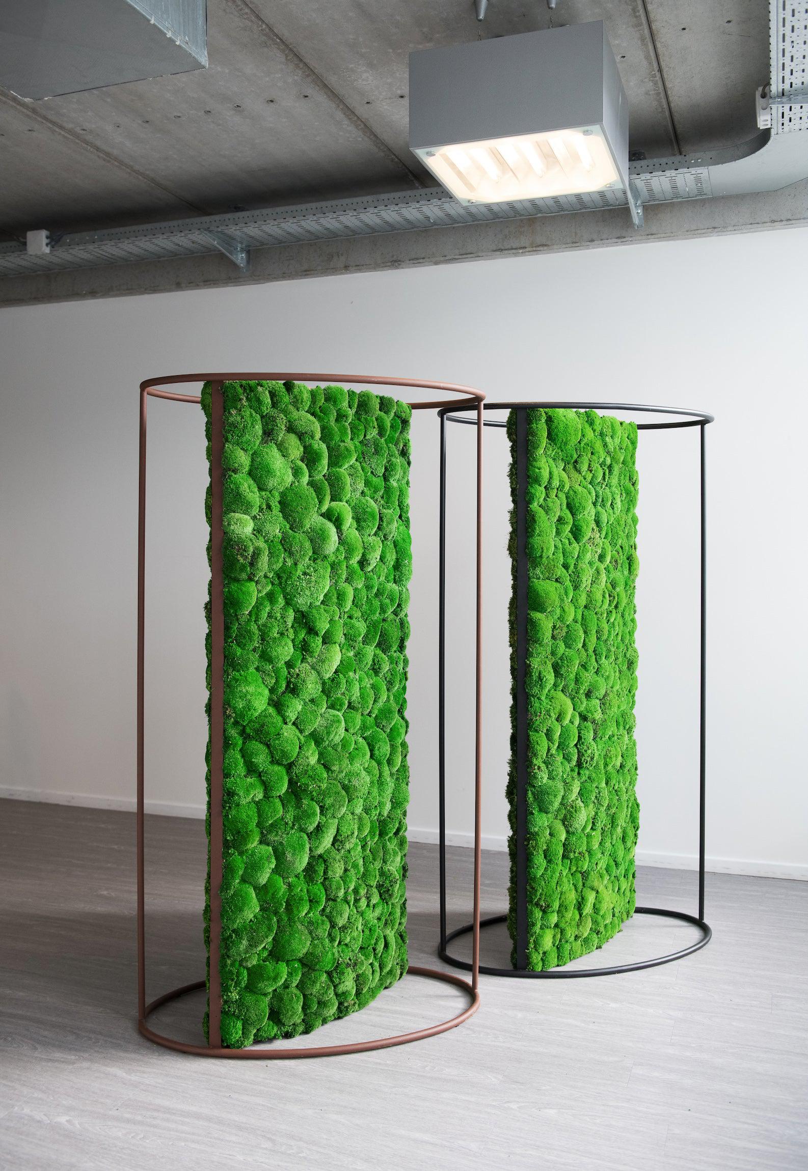 Dividers Plant and Moss Wall Art - Image 4
