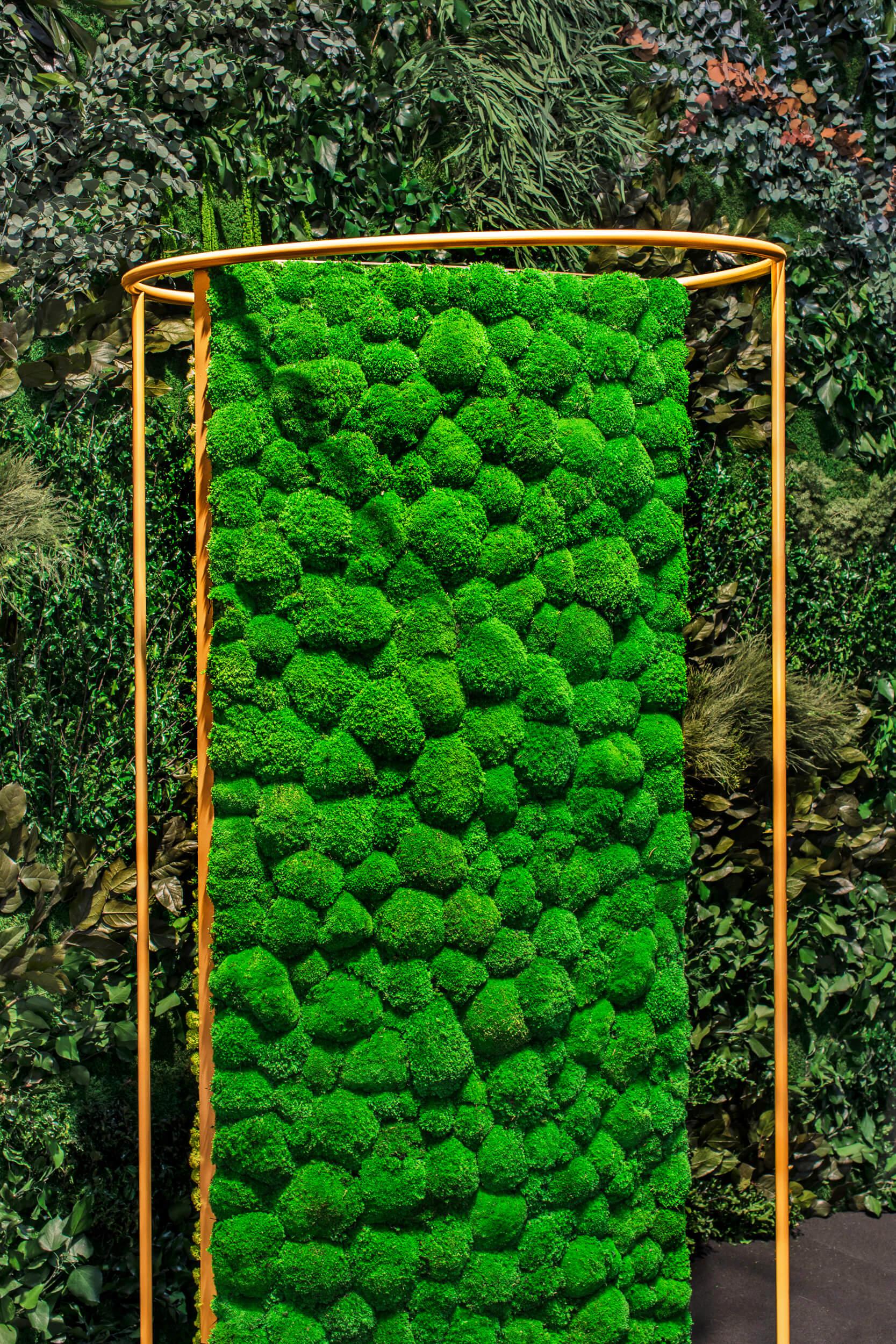 Dividers Plant and Moss Wall Art - Image 7