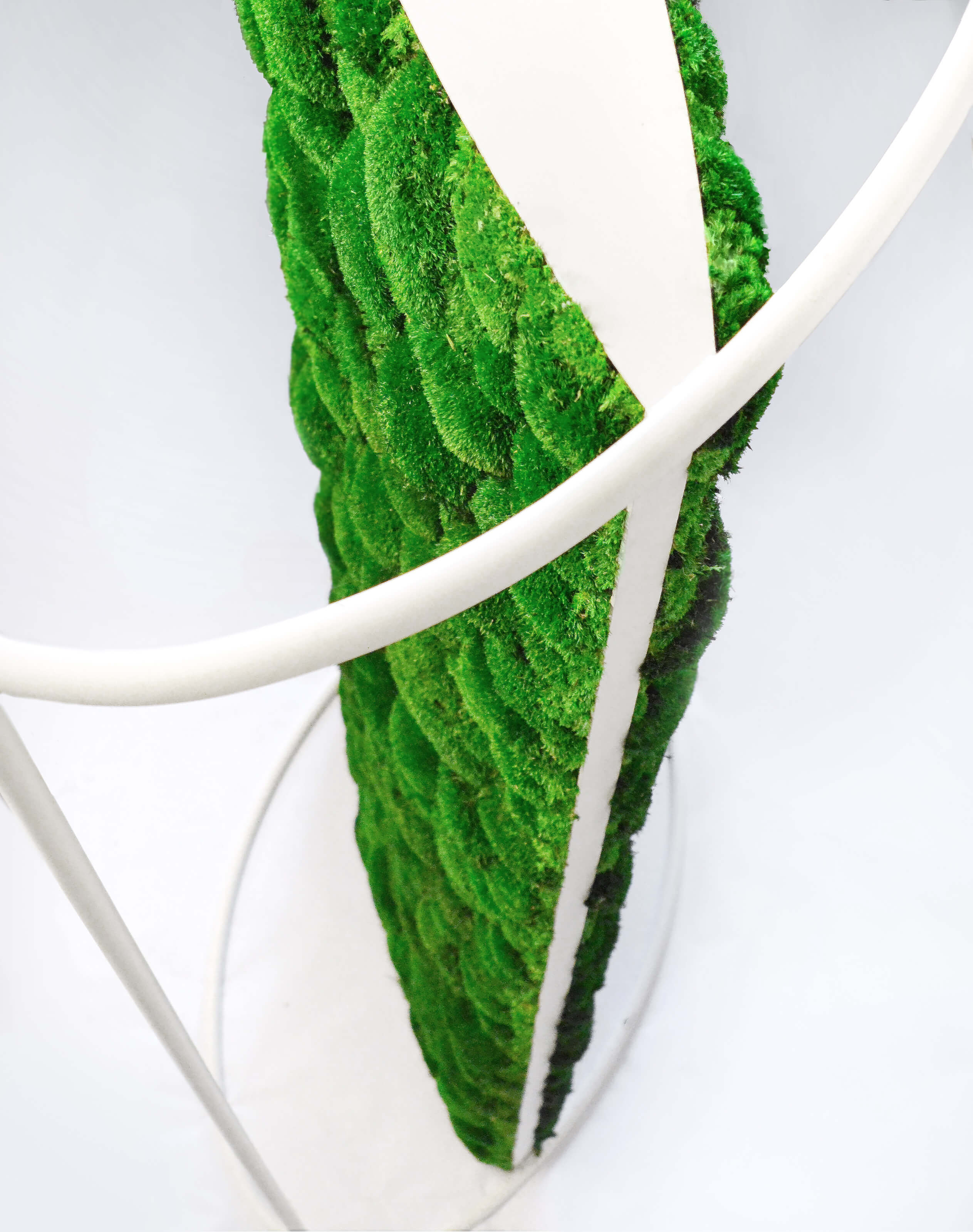 Dividers Plant and Moss Wall Art - Image 9