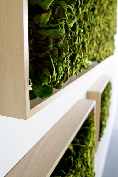 Textured Plant Framed Moss Wall Art - Image 3