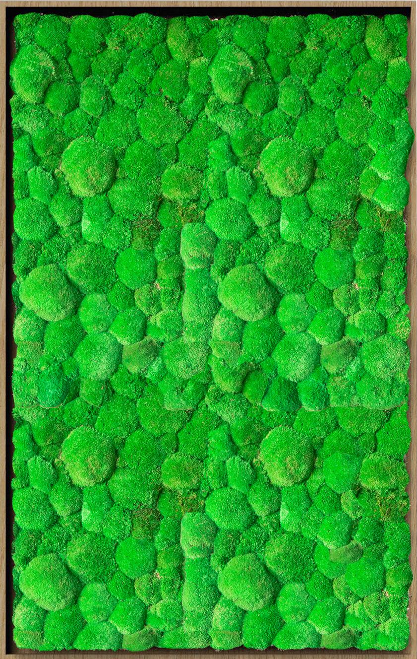 Textured Plant Framed Moss Wall Art - Image 4