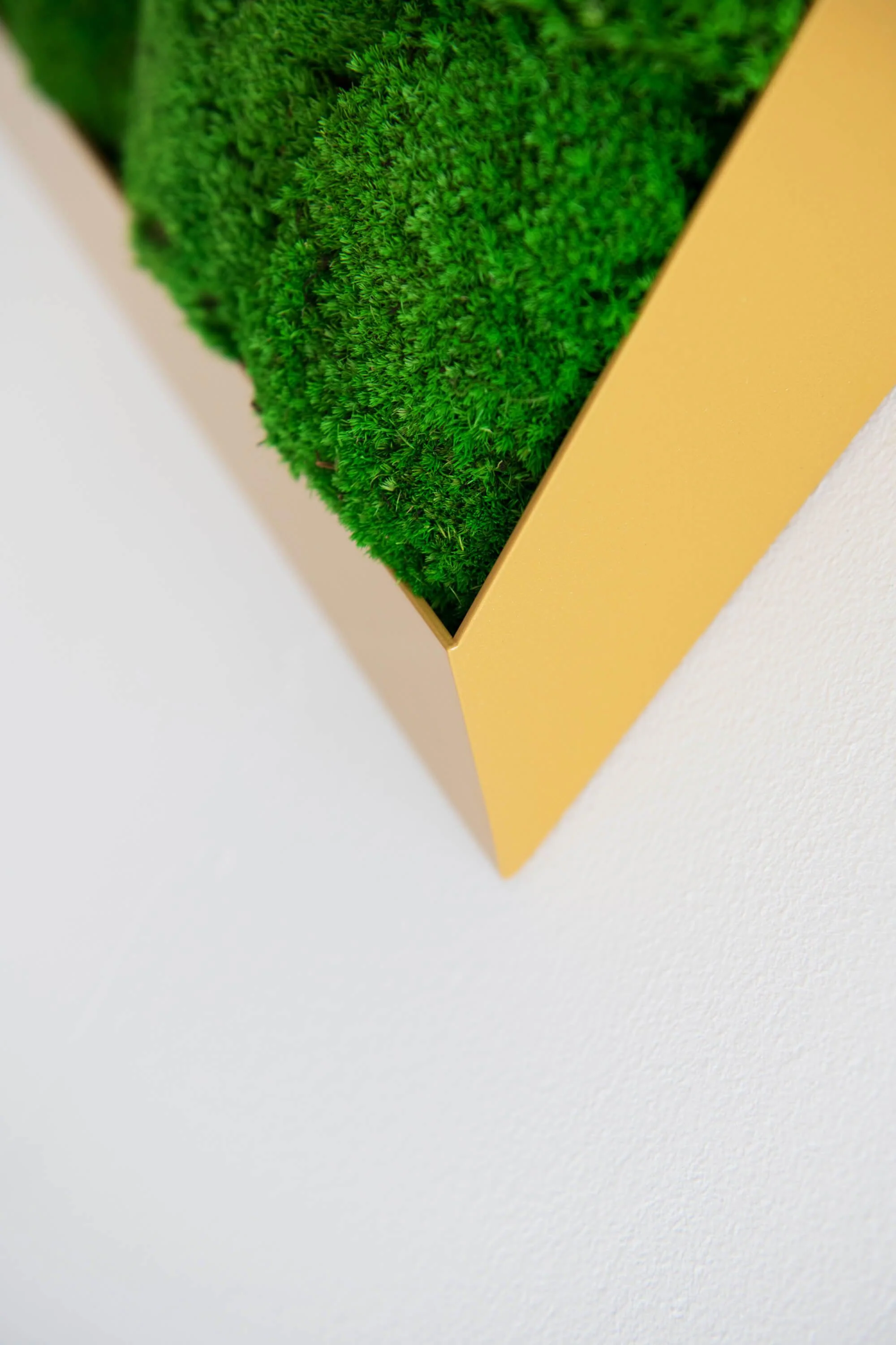 3D Lines Plant & Moss Wall Art - Image 6