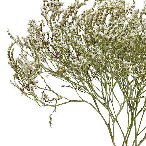 Spanish White / Cream Preserved Limonium Bouquet - Image 6