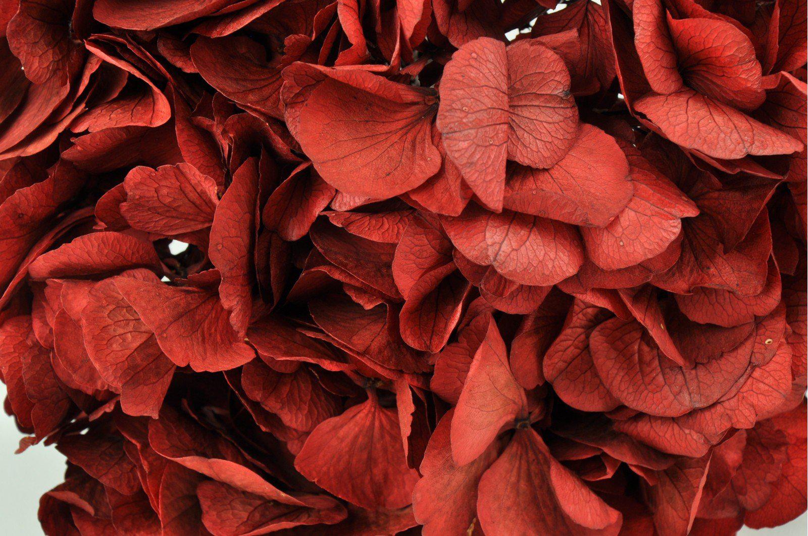Red Hydrangea Bouquets - Image 4