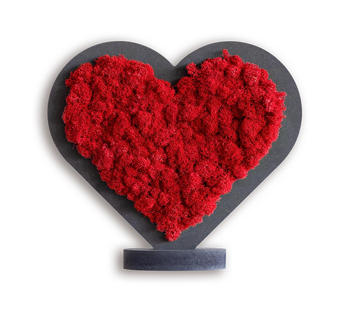 Red Moss Heart - Image 5
