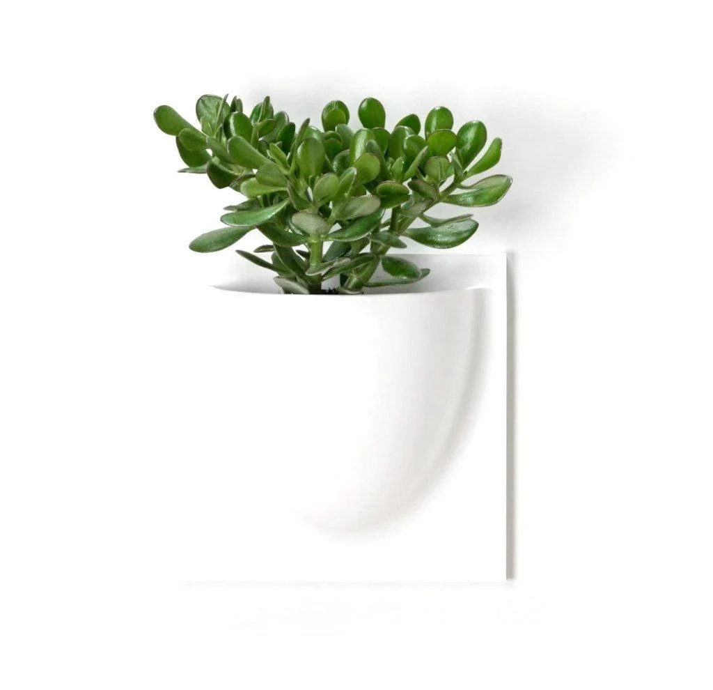 Dusty Pink VertiPlant Bio Wall Container - Image 4