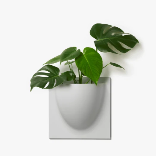 Sand VertiPlant Bio Wall Container - Image 2