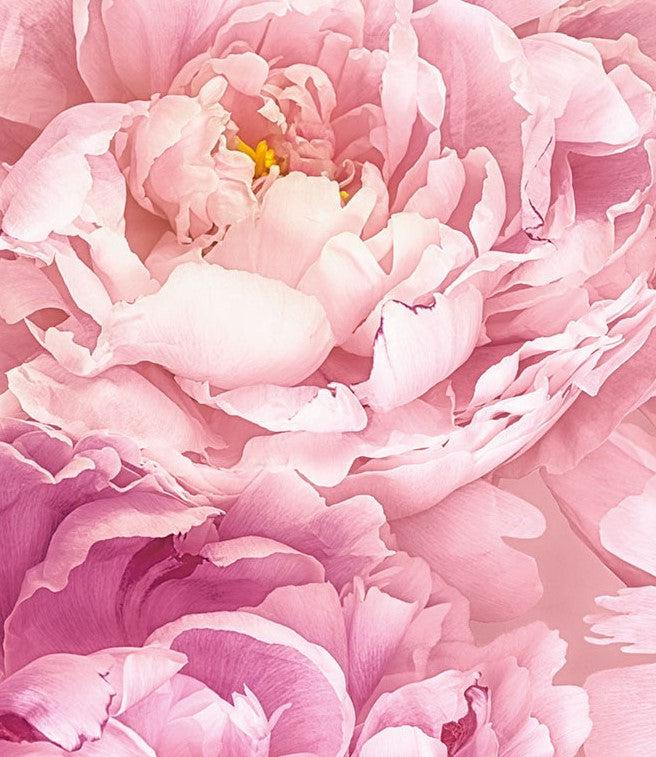 Soave Pink Blossom Mural Wallpaper - Image 6