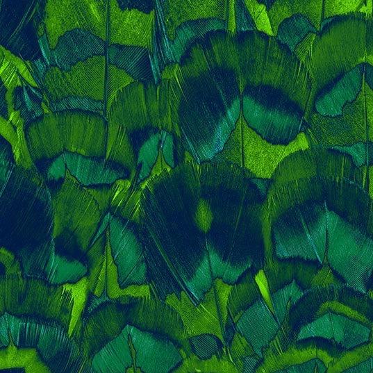Soothing Feathers Mural Wallpaper - Image 4