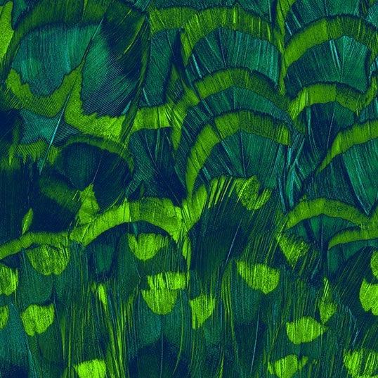 Soothing Feathers Mural Wallpaper - Image 6