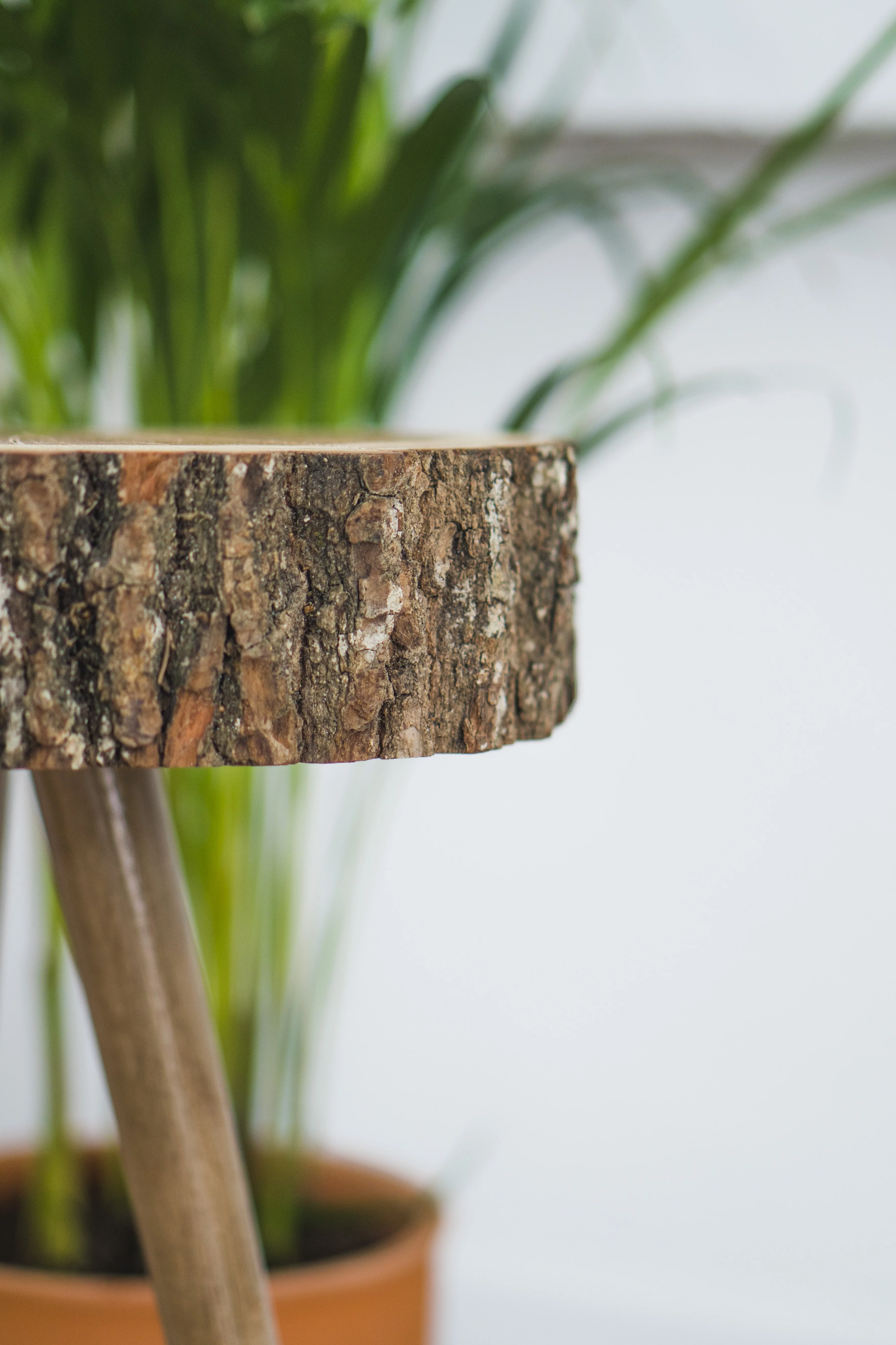 Stala Oak Slice Side Table - Image 7