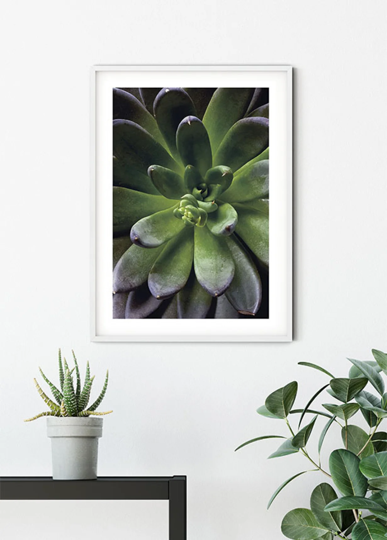 Succulent Single Art Poster - Image 6