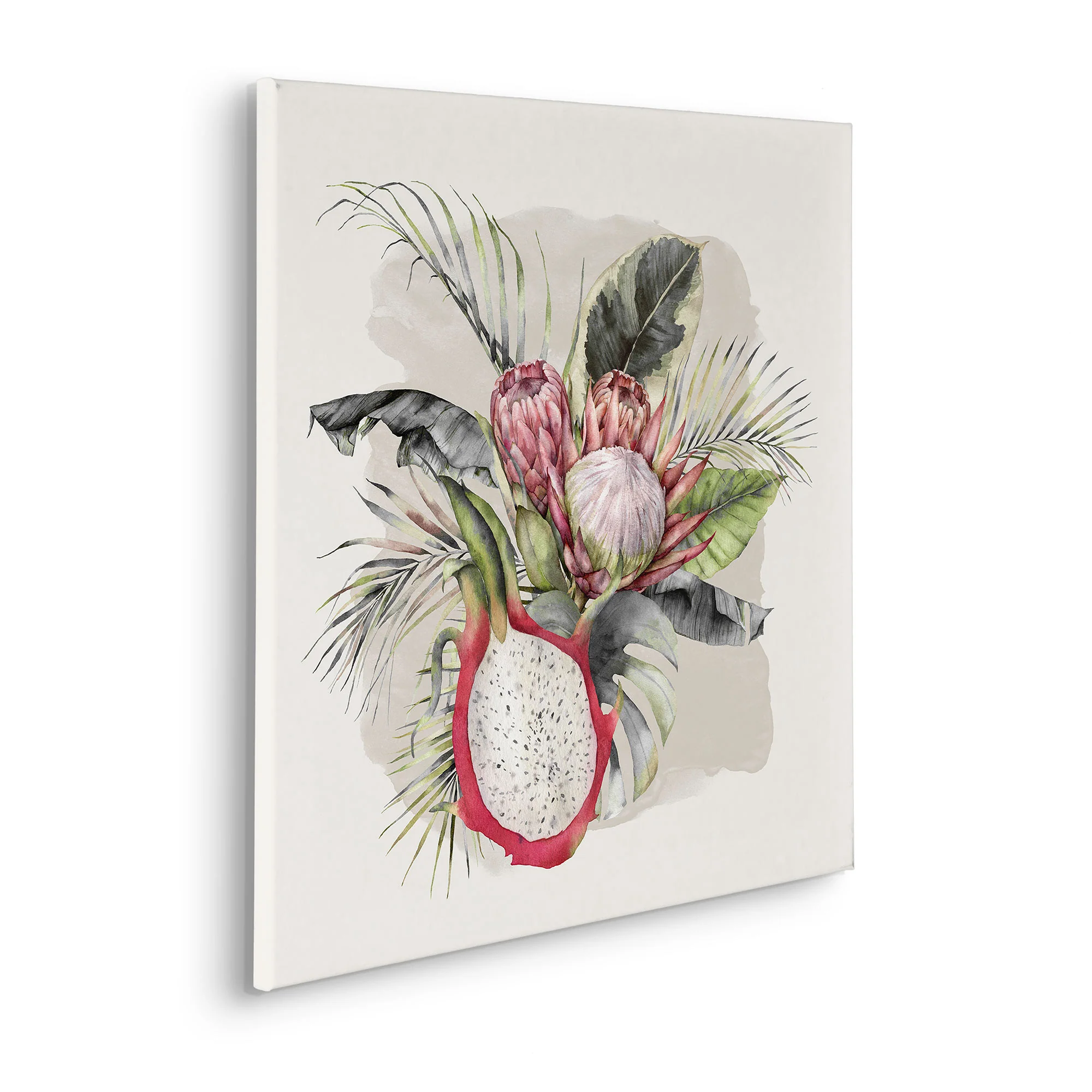 Sweet Pitaya Stretched Canvas