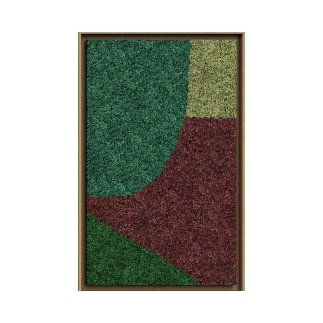 Synergy Framed Moss Art (Series C) - Image 14