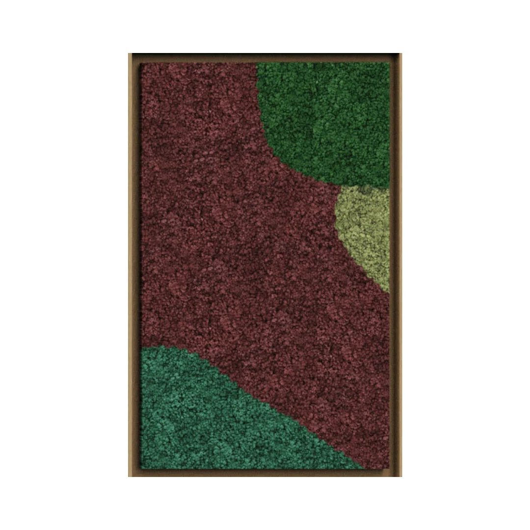 Synergy Framed Moss Art (Series D) - Image 14