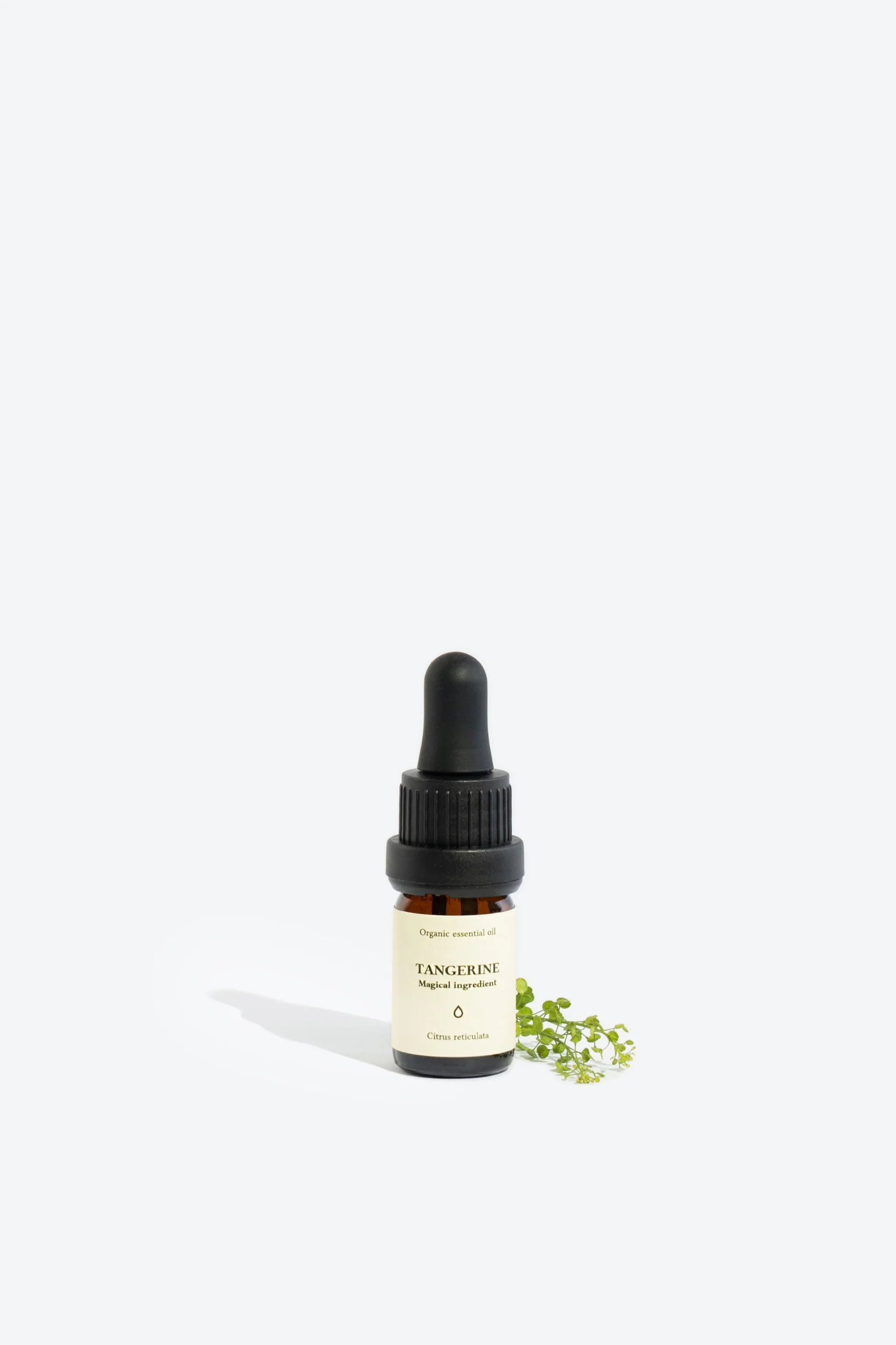 Tangerine Organic Essential Oil - Image 3